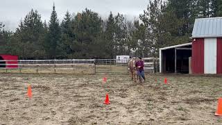 Rachel Unger amp Moose in Hand Trail Walk Jog [upl. by Nilam]