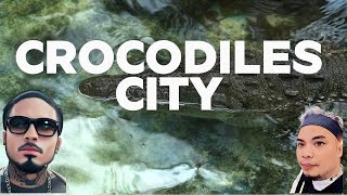 CROCODILES CITY TRAVEL IN THE HEART OF NATURE WITH WILD ANIMALS NATURE BIRD SOUNDS [upl. by Alletniuq261]