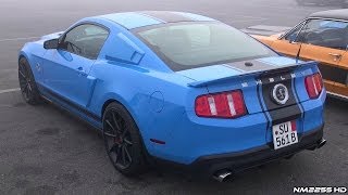 850HP Shelby GT500 Super Snake Supercharger Whine [upl. by Hulbard]