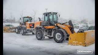 Snowstorm 20012019 Quebec Canada [upl. by Llerrem]