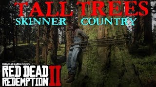 Red Dead Redemption 2  Tall Trees Skinner Brothers Country [upl. by Paderna]