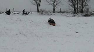 Canoe Sledding through fence [upl. by Ginevra222]