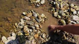 Survival Fish Trap using just one hand [upl. by Giglio]