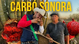 CARBÓ SONORA  Uno de los principales productores de la PITAYA SONORENSE [upl. by Tillo984]