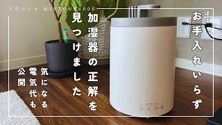 乾燥の季節におすすめのスチーム式加湿器「ドウシシャ mistone 600S」を紹介 [upl. by Baryram]