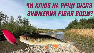 VLOG 14 ловля на річці в Карпатах коли рівень води знижується [upl. by Windzer]