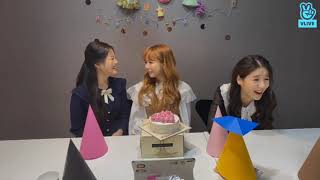 Making Vivis Birthday Hat VLIVE  LOONA ViVi Heejin Hyunjin 191210 ENG SUB ViVi의 뽀짝뽀짝 고깔 만들기 [upl. by Calesta737]