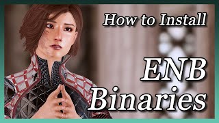 Skyrim SE  How to Install ENB Binaries [upl. by Eanej]