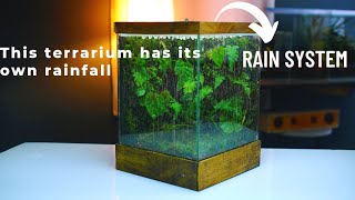 i made a terrarium rain garden in a glass tank  rainfall paludarium [upl. by Aynuat]