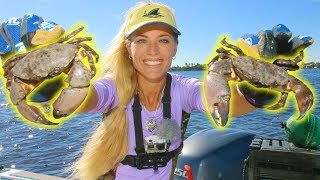 I GOT CRABS Catching KEEPER Stone Crab Claws amp Fish [upl. by Nerro]