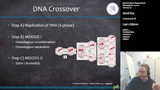 QTL mapping and GWAS Bioinformatics S8E1 [upl. by Weikert]