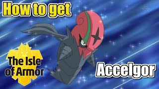 How To Get Accelgor  Isle of Armor DLC [upl. by Macmullin346]