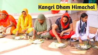 Himachali Kangri Dham 🥰  Traditional food Himachal marriage kangra [upl. by Nahtahoj]