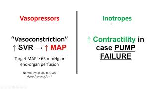 Vasopressors and Inotropes [upl. by Dionisio154]