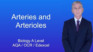 A Level Biology Revision quotArteries and Arteriolesquot [upl. by Vivianne]