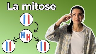 LA MITOSE  3ème Collège  Ton cours de SVT en moins de 5 minutes [upl. by Forster]