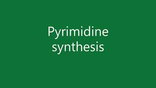 76 Pyrimidine synthesis [upl. by Arahd]