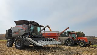 Gleaner S98 Ohio Corn Harvest 2024 [upl. by Carlock]