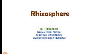 Rhizosphere [upl. by Suirradal355]