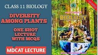 DIVERSITY AMONG PLANTS  ONE SHOT SERIES PART 1  MCQS ALSO EXPLAINED  DOCTORS STOP BIOLOGY [upl. by Ydor]