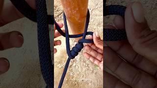 useful Slip Knot Skills camping [upl. by Meldoh]