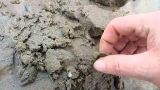 Metal Detecting With new Head Phones on Burnham Beach [upl. by Zildjian260]