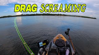 Fishing For Dinner When I hooked THIS  Inshore Kayak Fishing [upl. by Bixler]