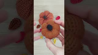 Tuto citrouille niveau débutant diy crochet crochettutorial tutocrochet [upl. by Nebur]