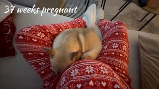 Weekly vlog  37 weeks pregnant [upl. by Schreck]