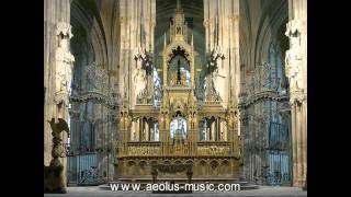 Liszt  Funerailles Pierre Labric on the organ of SaintOuen Rouen [upl. by Steddman500]