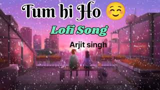 Tum hi Ho Lofi Song  Arjit singh  Hindi lofi song [upl. by Prissy832]