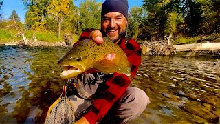 Montana’s Rock Creek  The Ultimate Fall Fly Fishing Experience [upl. by Dobrinsky]