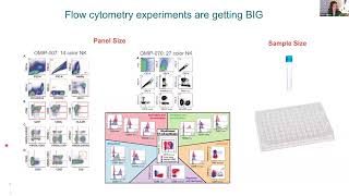 High Parameter Workflow with EmbedSOM and FlowSOM  Jul 18 2024 with Veronica Obregon Perko [upl. by Cahilly]