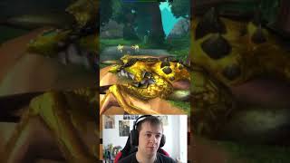 TimeLost ProtoDrake  World of Warcraft Secrets amp Easter Eggs [upl. by Eynaffit]