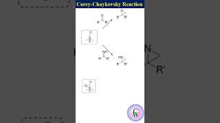 Coreychaykovsky reaction [upl. by Trab394]