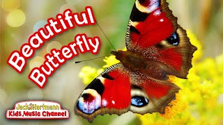 Beautiful Butterfly  Butterfly Song for Kids  Jack Hartmann [upl. by Nuyh]