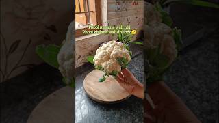 Phool Gobi recipe🌼fried Gobi shorts viralshort gobirecipes phoolgobi cauliflowerrecipe gobi [upl. by Giorgi]