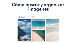 Cómo buscar y organizar imágenes [upl. by Michaud]