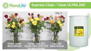 Floralife Express Clear  Clear ULTRA 200 [upl. by Aneleasor]