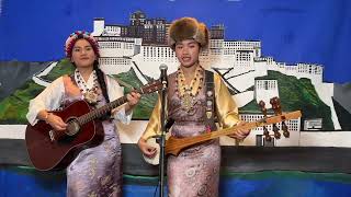 Tibetan Losar cover song [upl. by Ailegnave]