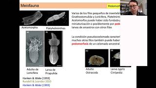 Meiofauna [upl. by Christa696]