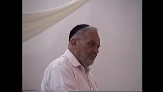 Rabbi Berel Wein  In Memory Zahava Lurie Altschuler AH in Efrat [upl. by Judon801]