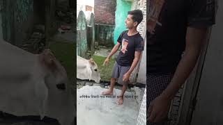 Gau mata agniveer song viral shorts [upl. by Rennat]