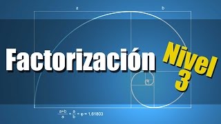 Factorización  Ejercicios Resueltos Nivel 3 [upl. by Botti]