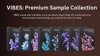 Cymatics  VIBES Premium Sample Collection  Download Now [upl. by Enomad3]