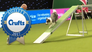 Agility  Large Team Final Part 1  Crufts 2017 [upl. by Dodd]