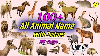 birds names in english and hindi with pdf पक्षियों के नाम  Birds name in hindi and english [upl. by Adok]