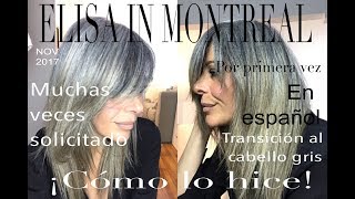 Canas Cómo pasé del pelo teñido a mi color natural  Elisa in Montreal [upl. by Ahsienroc]