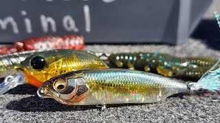 The Best Bait Finesse BFS Tricks For Spring Bass Fishing [upl. by Ylenaj842]