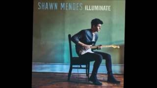 Shawn Mendes  Mercy Audio [upl. by Phineas917]